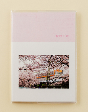 桜写真集