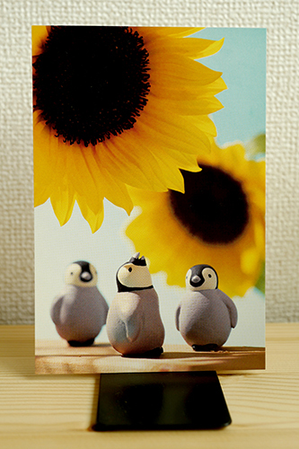 ペンギン夏カード３
