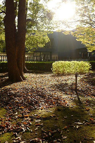 上野公園