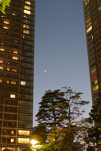 三日月