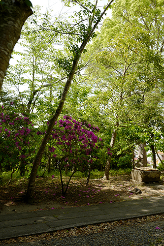 玉前神社境内