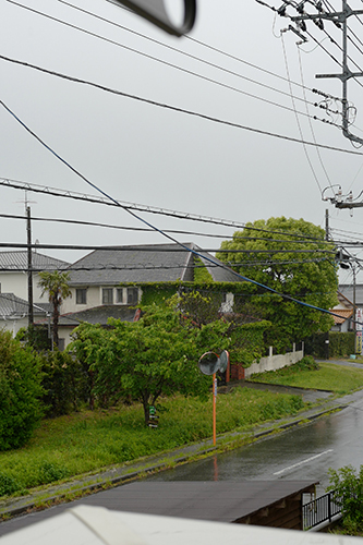 窓からの雨