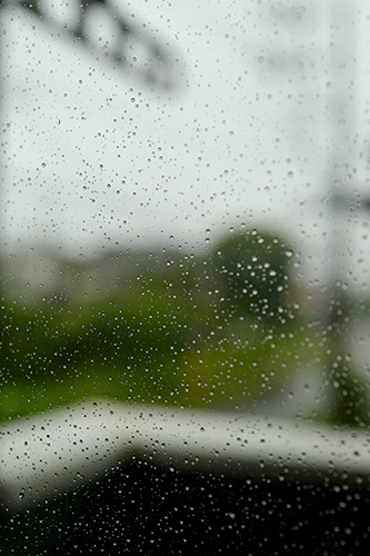 窓の雨