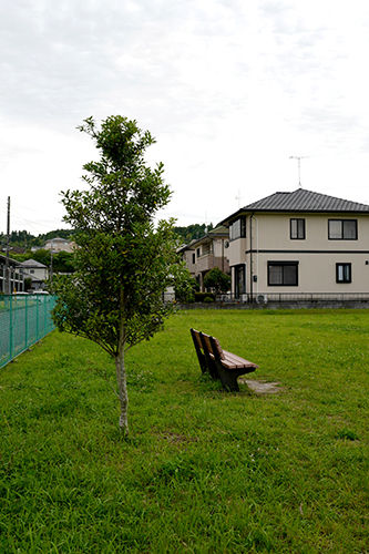 近所の公園