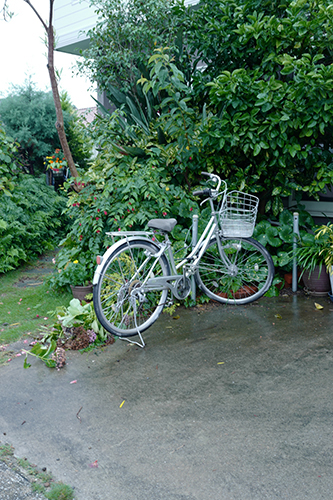 雨の自転車