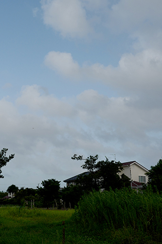 台風の翌日の風の強い夕方