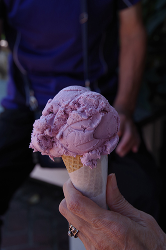 マルベックのアイスクリーム