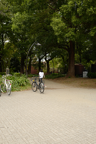 上野公園芸術の道入り口