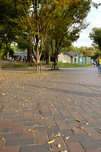 夕方の上野公園