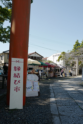 玉前神社で「ぽっとりぃ」