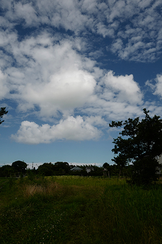 夏の空