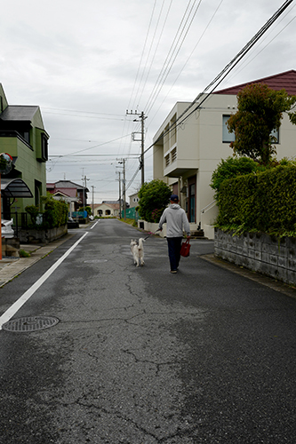 雨上がりの町