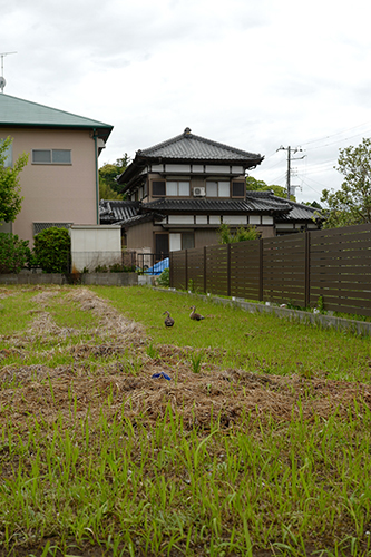 雨上がりの町