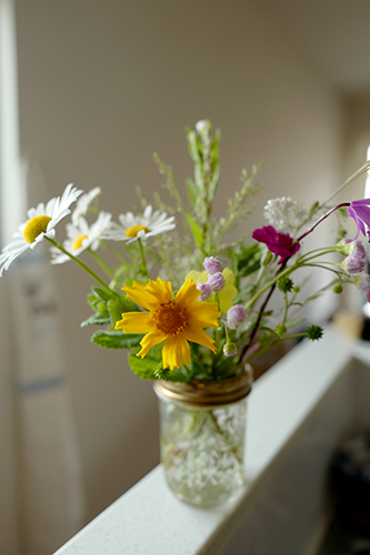 野の花