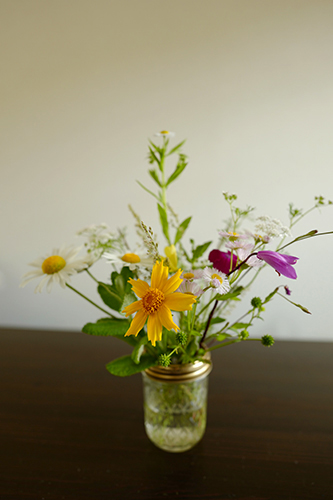 野の花