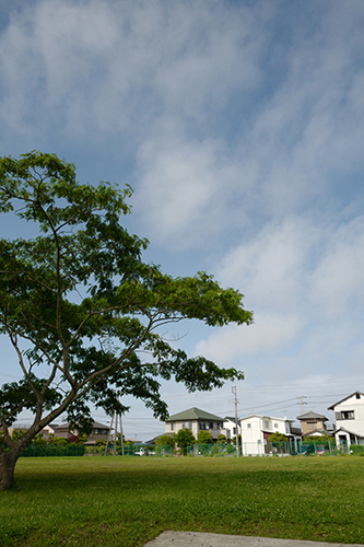 台風あと