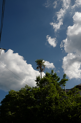 暑い日の空