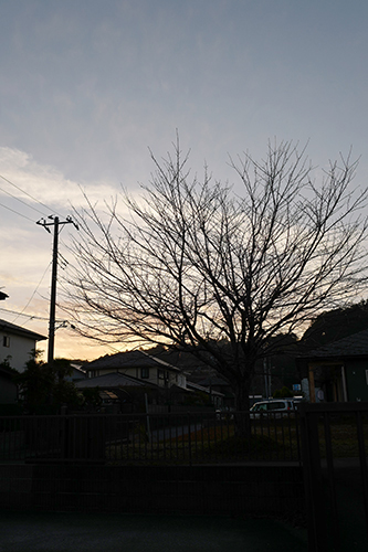 夕暮れの町